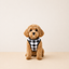 Classic Check Tee - Lightweight Check Dog T-Shirt