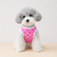 Paw Check Tee - Lightweight Paw Print Dog T-Shirt