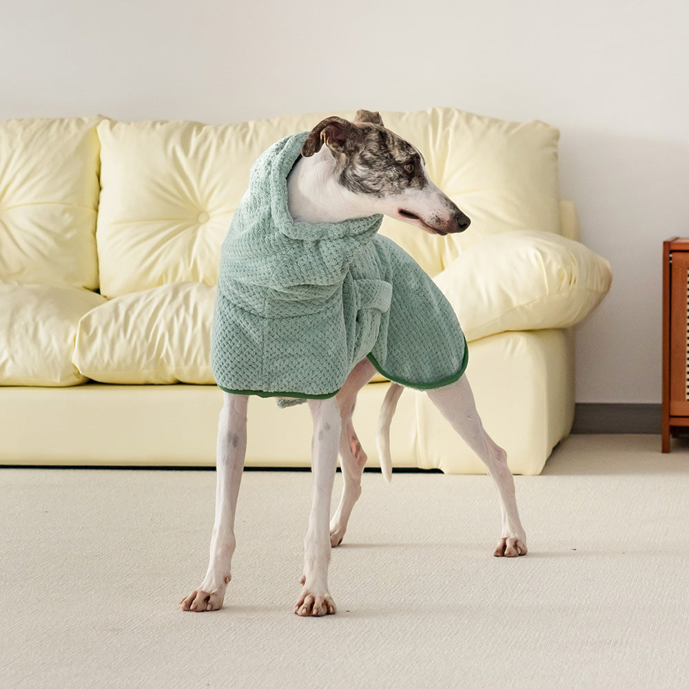 ultra absorbent dog drying robe worn indoors after bath
 Main image