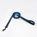 Blue leash from the Pawpie City Walk Set with metal clip displayed on white background
