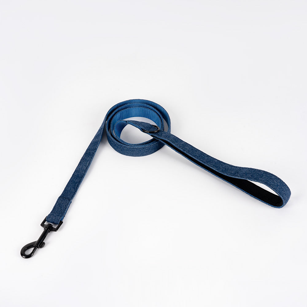Blue leash from the Pawpie City Walk Set with metal clip displayed on white background