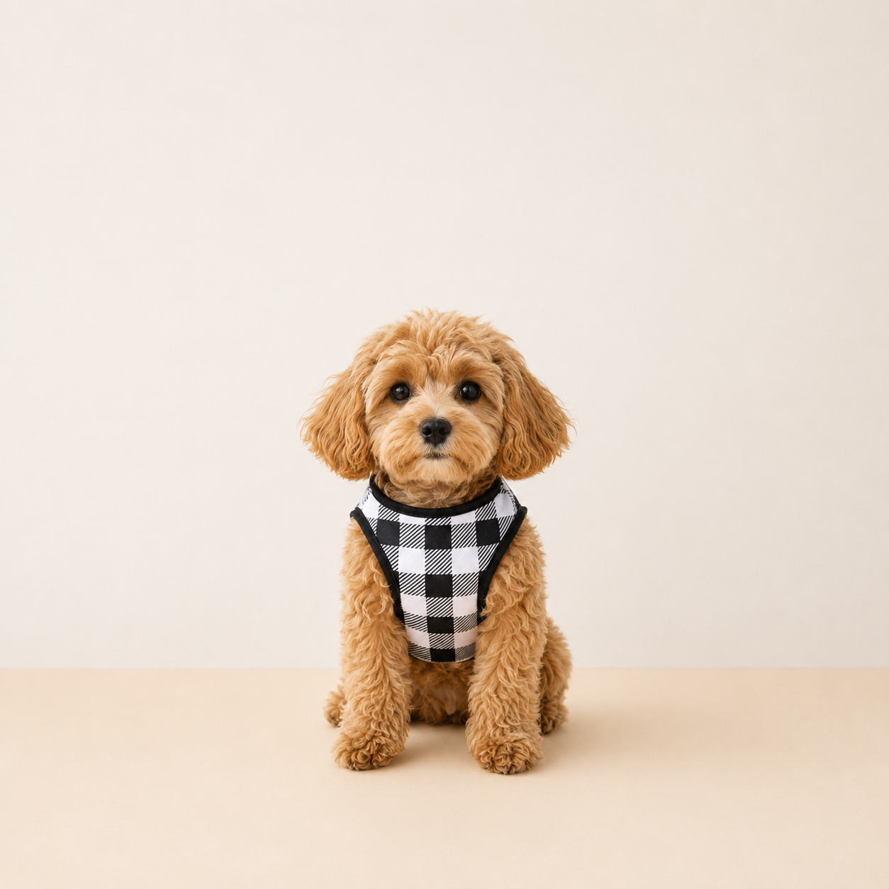 Classic Check Tee - Lightweight Check Dog T-Shirt