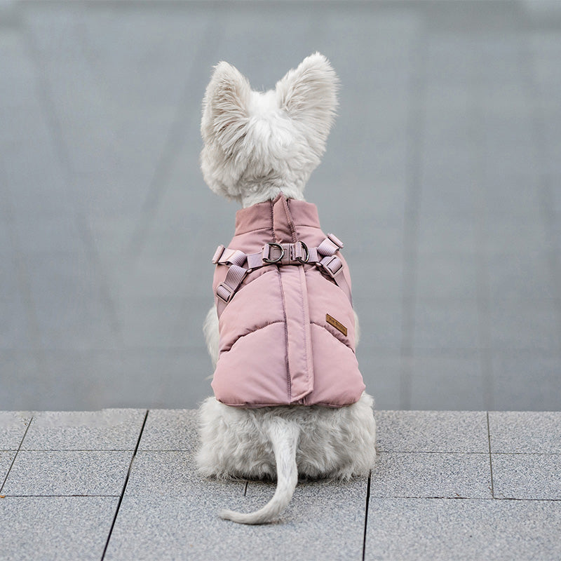 Rear view of a small white dog wearing a pink padded harness vest, sitting on a gray paved surface.