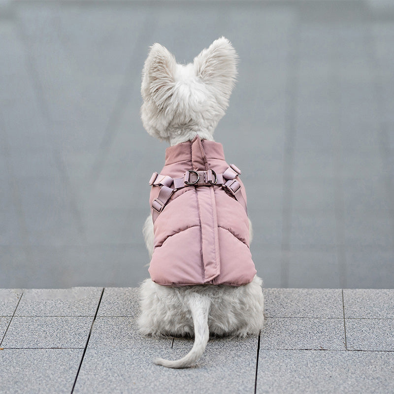 The Alpine Jacket — Insulated Winter Dog Jacket with Built-in Harness