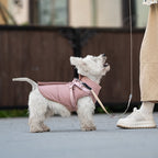 The Alpine Jacket — Insulated Winter Dog Jacket with Built-in Harness