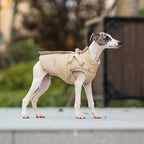 The Alpine Jacket — Insulated Winter Dog Jacket with Built-in Harness