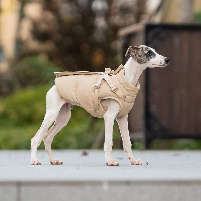 The Alpine Jacket — Insulated Winter Dog Jacket with Built-in Harness