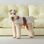 Small terrier wearing beige quilted dog coat indoors