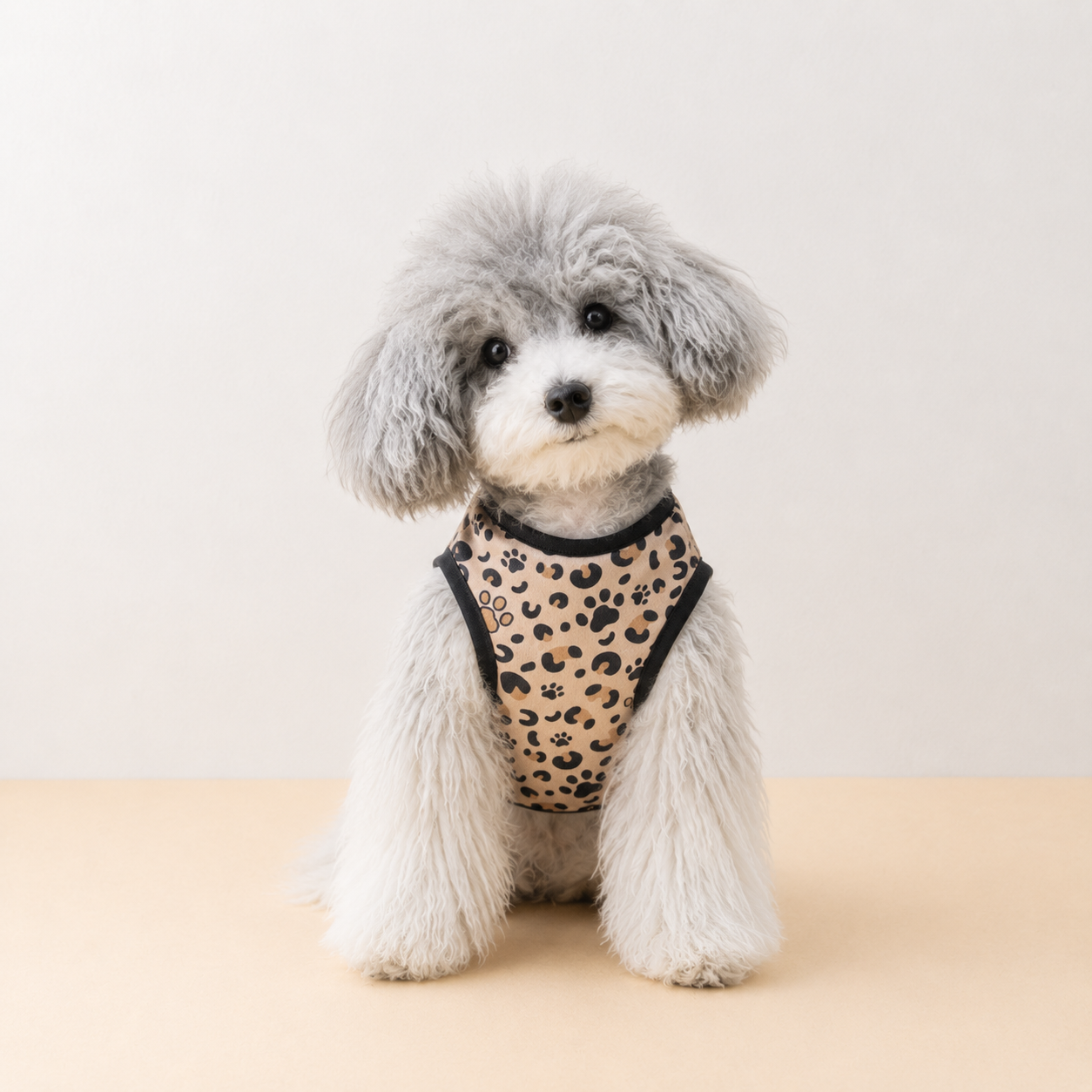 Leopard Paw Tee - Lightweight Leopard Print Dog T-Shirt