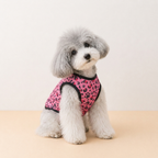 Leopard Paw Tee - Lightweight Leopard Print Dog T-Shirt