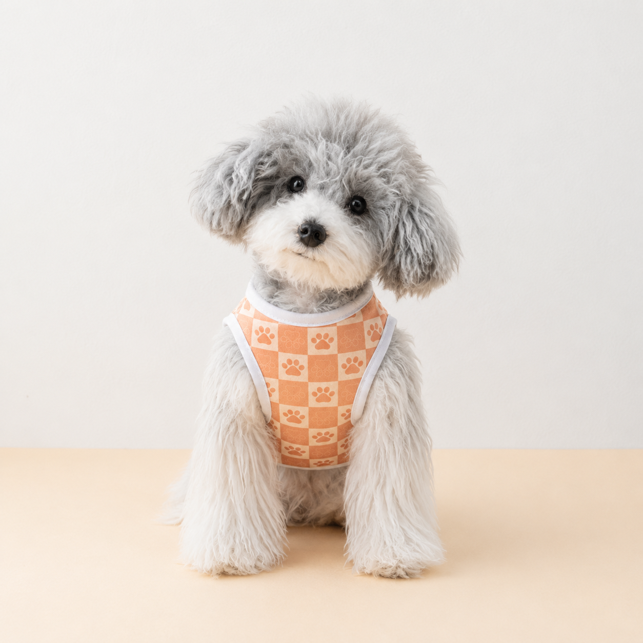 Paw Check Tee - Lightweight Paw Print Dog T-Shirt Main image