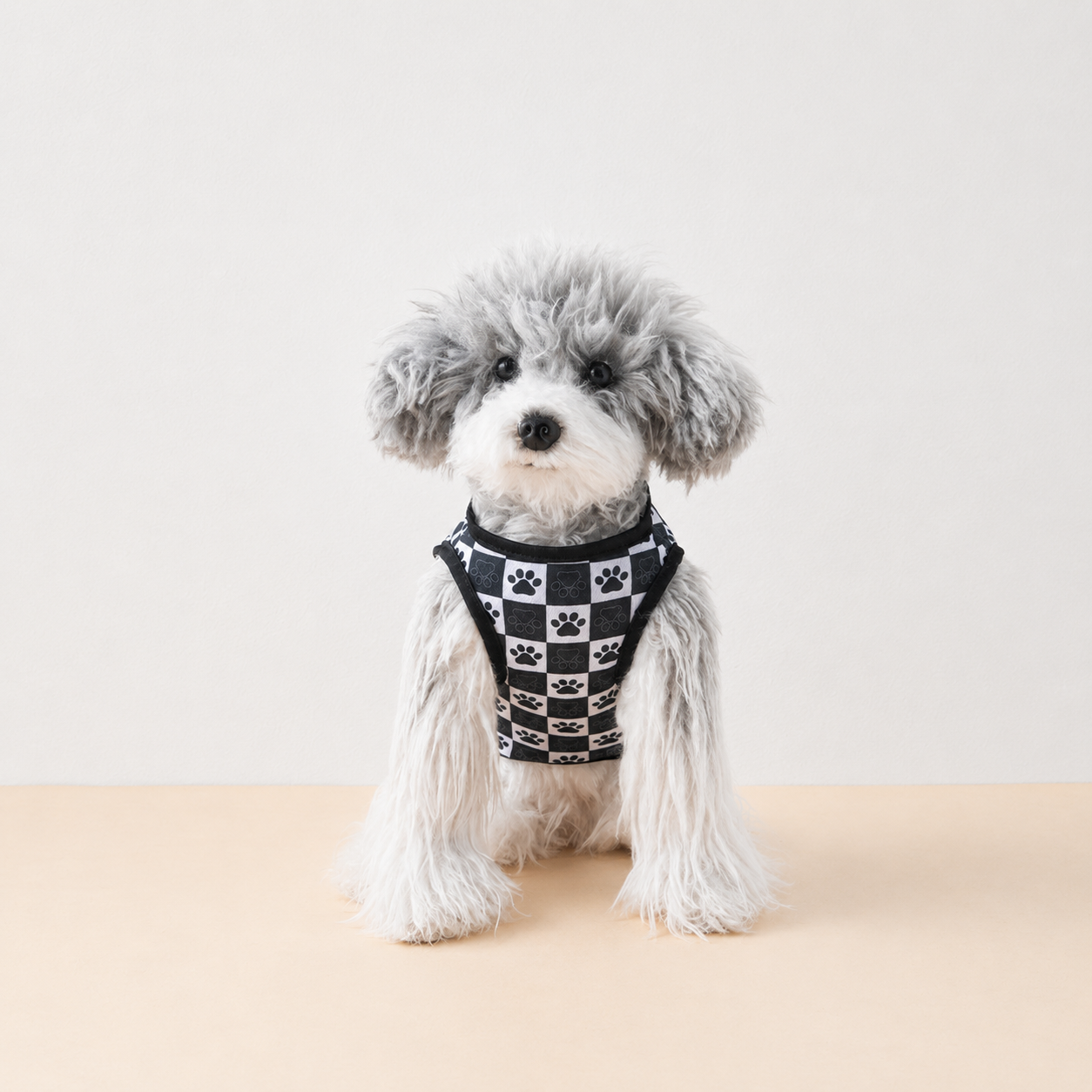 Paw Check Tee - Lightweight Paw Print Dog T-Shirt