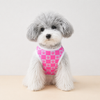 Paw Check Tee - Lightweight Paw Print Dog T-Shirt