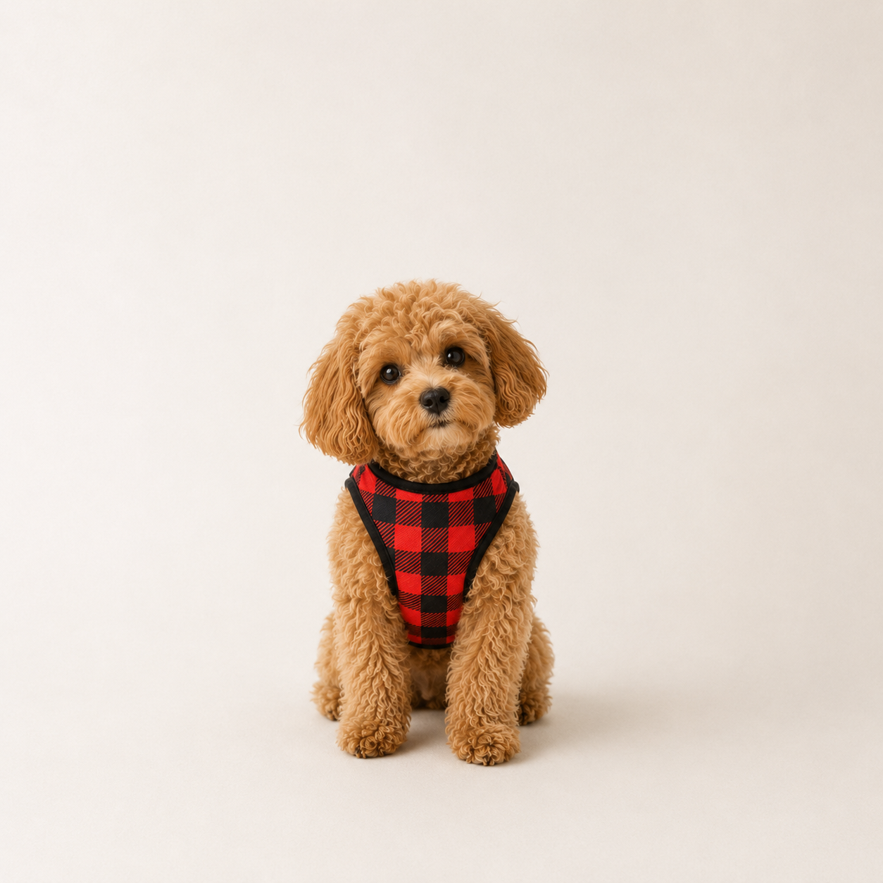 Classic Check Tee - Lightweight Check Dog T-Shirt