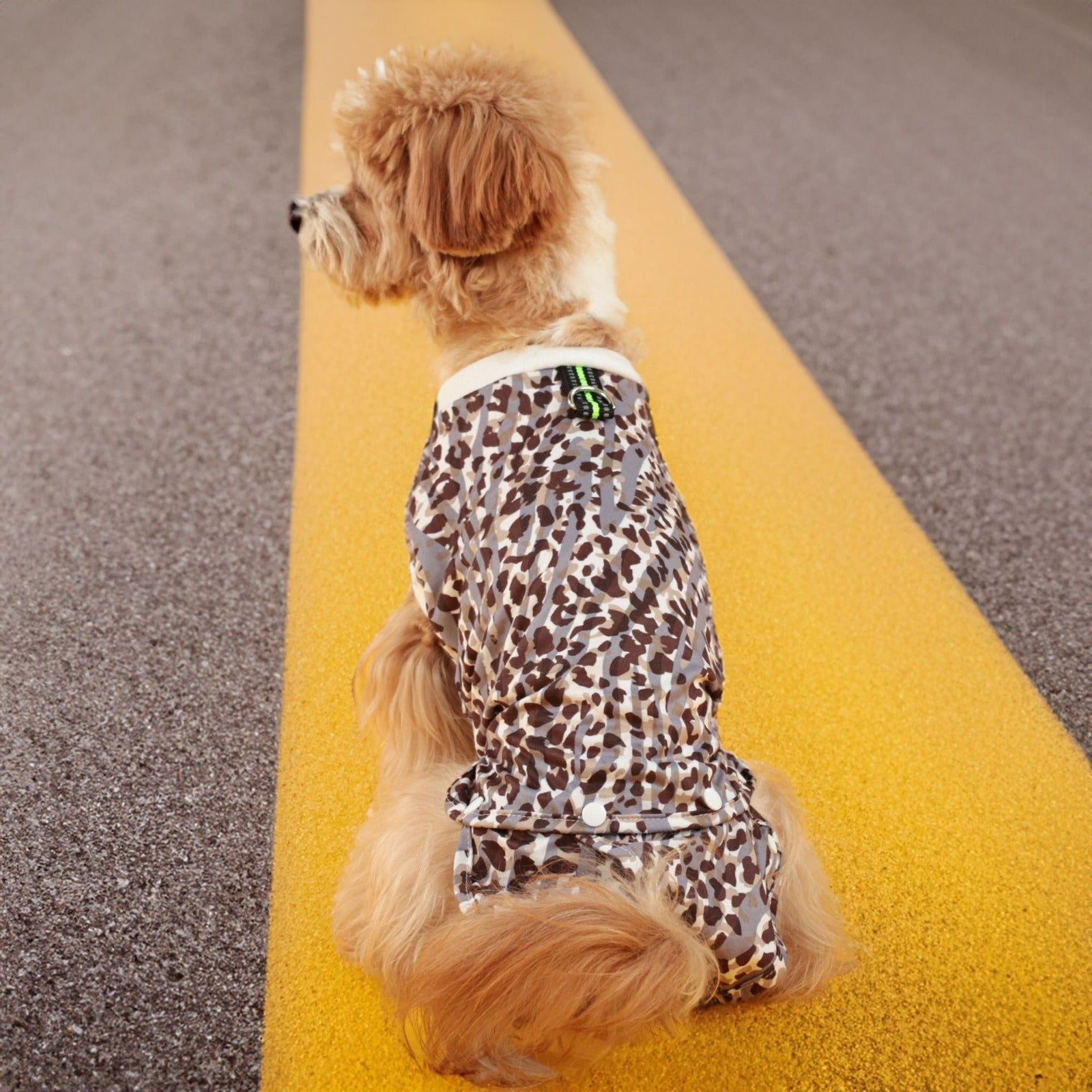 Wild Roamer - Animal Print Full-Coverage Dog Suit