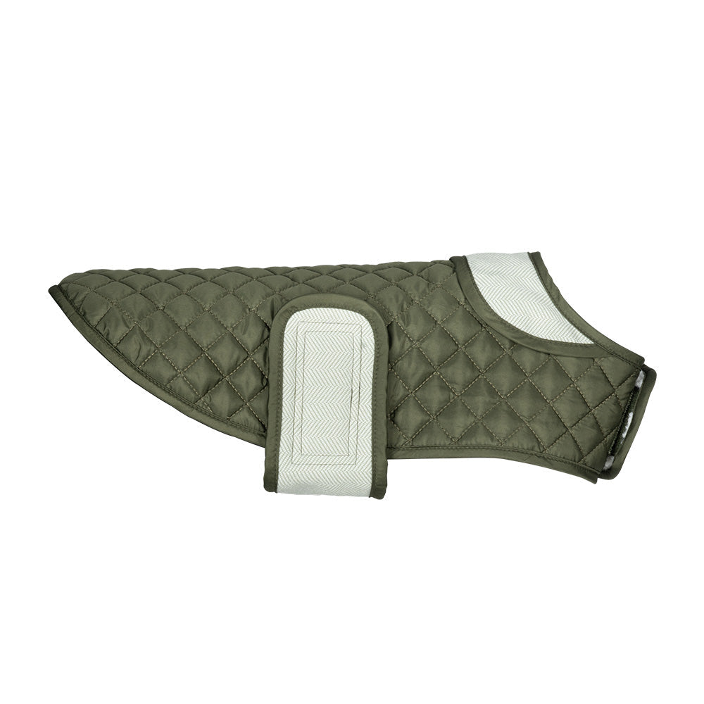 Green quilted dog jacket with velcro strap closure on white background