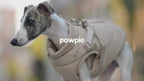 The Alpine Jacket — Insulated Winter Dog Jacket with Built-in Harness